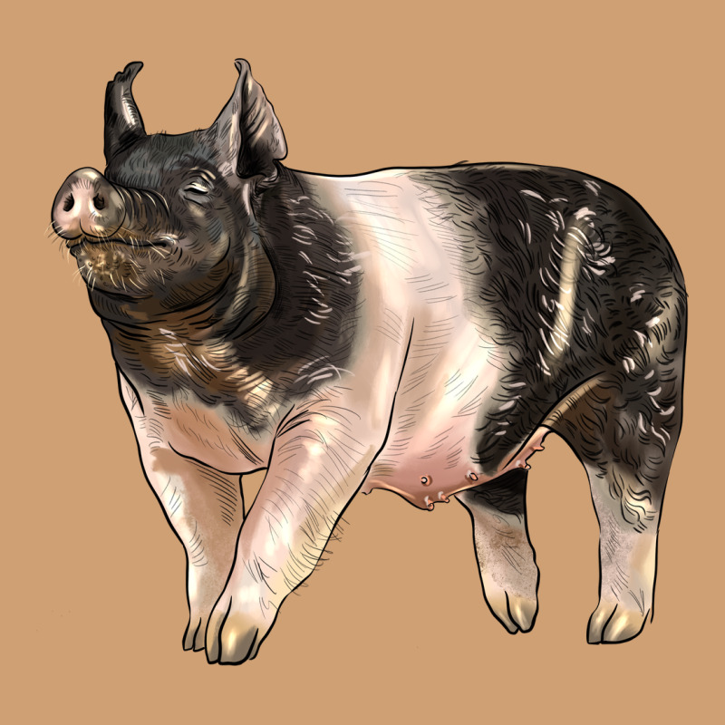 Hampshire Pig Vintage Tee by LillyAllenDesigns | Teevron