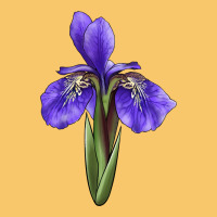 Iris Flower Illustrations Vintage Hoodie | Teevron