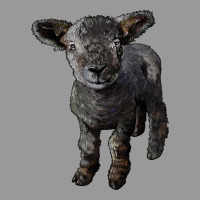 Southdown Baby Sheep Vintage Hoodie | Teevron