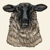 Suffolk Sheep Head Vintage Tee | Teevron