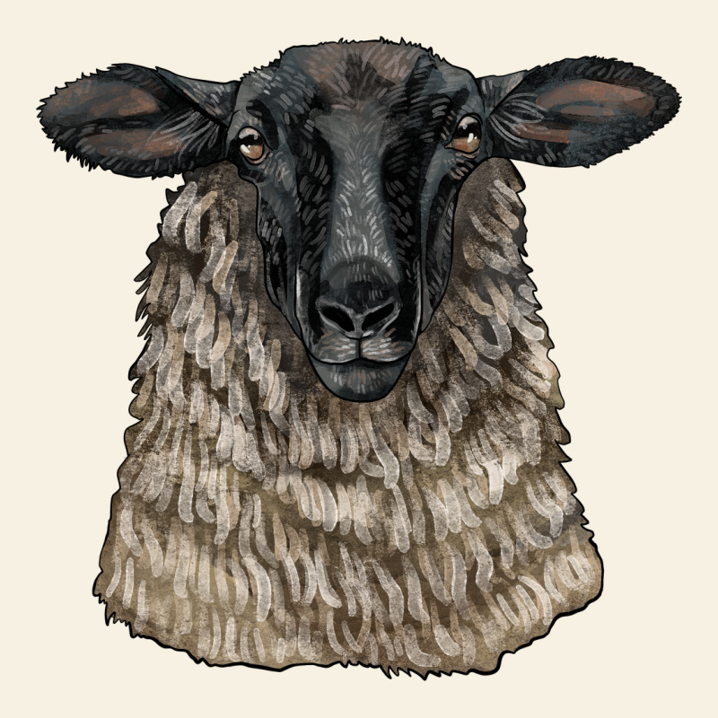 Suffolk Sheep Head Vintage Tee by LillyAllenDesigns | Teevron