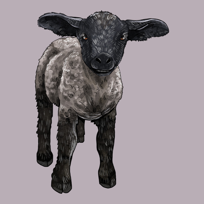 Suffolk Baby Sheep Vintage Tee by LillyAllenDesigns | Teevron