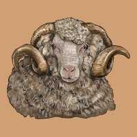 Merino Wool Sheep Head Vintage Tee | Teevron
