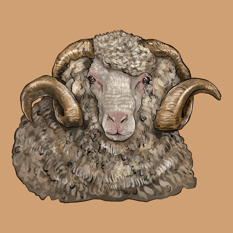 Merino Wool Sheep Head Vintage Tee by LillyAllenDesigns | Teevron