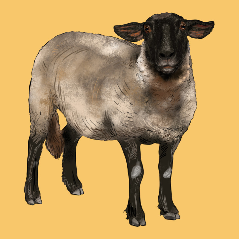Suffolk Ewe Vintage Hoodie by BarkalooDesign | Teevron