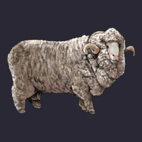 Rambouillet Sheep Vintage Tee | Teevron
