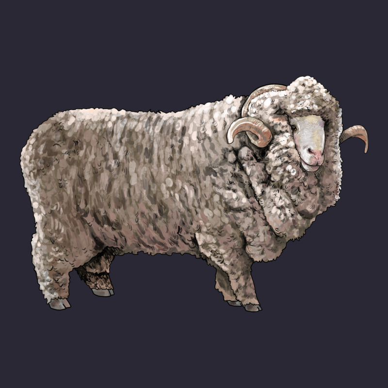 Rambouillet Sheep Vintage Tee by LillyAllenDesigns | Teevron