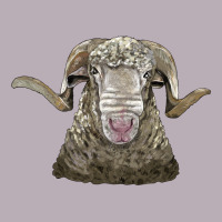 Rambouillet Sheep Head Vintage Tee | Teevron