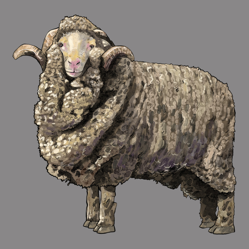 Merino Wool Sheep Vintage Tee by LillyAllenDesigns | Teevron