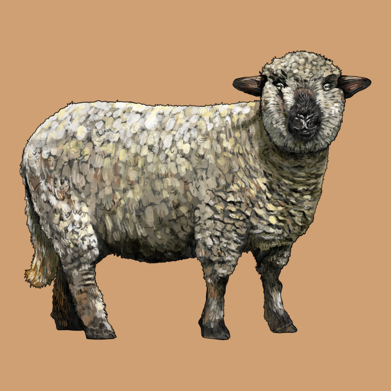 Hampshire Sheep Vintage Tee by LillyAllenDesigns | Teevron