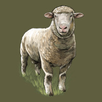 Dorset Sheep Vintage Tee | Teevron