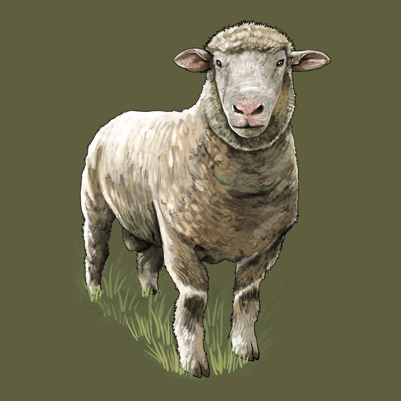 Dorset Sheep Vintage Tee by LillyAllenDesigns | Teevron