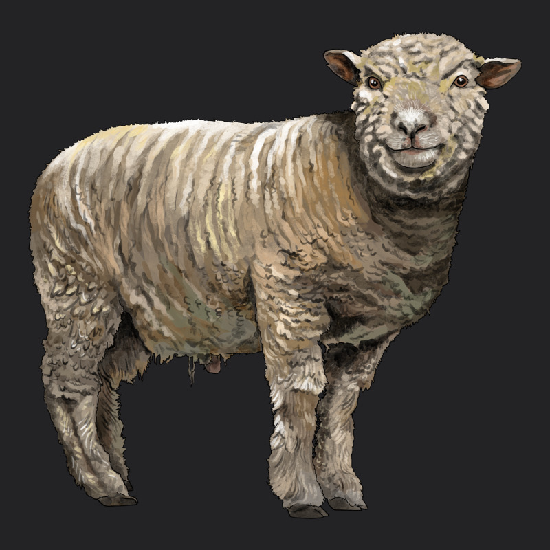Southdown Sheep Vintage Tee by LillyAllenDesigns | Teevron