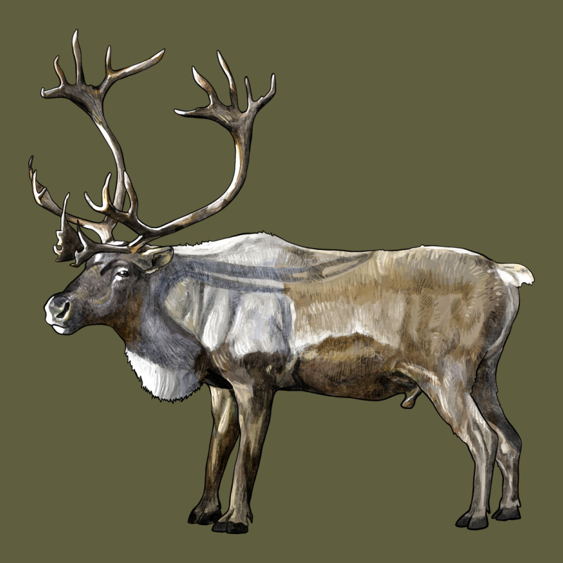 Reindeer Buck Deer Vintage Tee by LillyAllenDesigns | Teevron