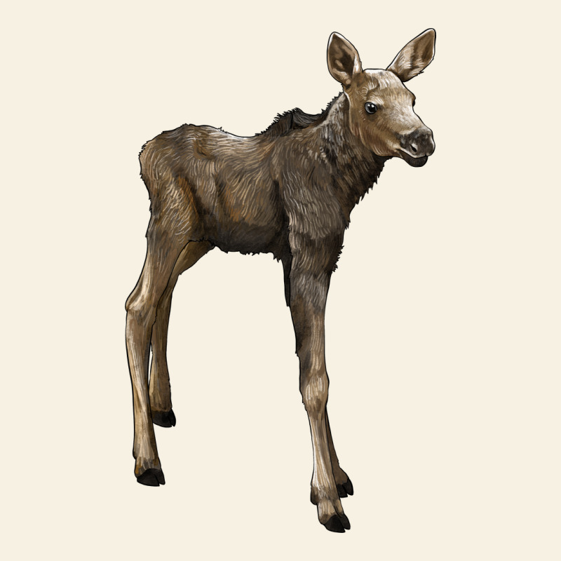 Moose Fawn Deer Vintage Tee by LillyAllenDesigns | Teevron