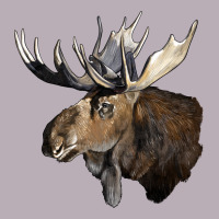 Moose Buck Deer Head Vintage Tee | Teevron