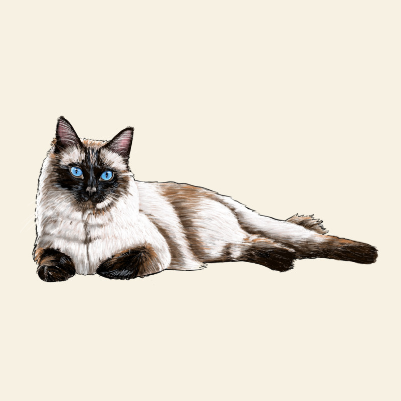 Siamese Vintage Tee by LillyAllenDesigns | Teevron