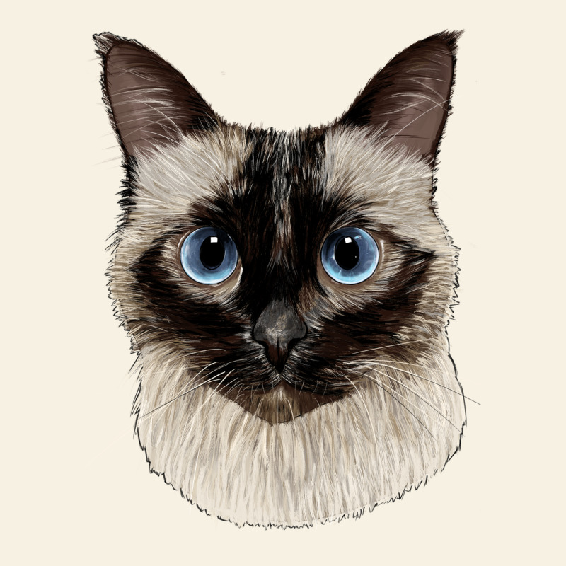 Siamese Face Vintage Tee by LillyAllenDesigns | Teevron