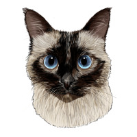 siamese face | Teevron