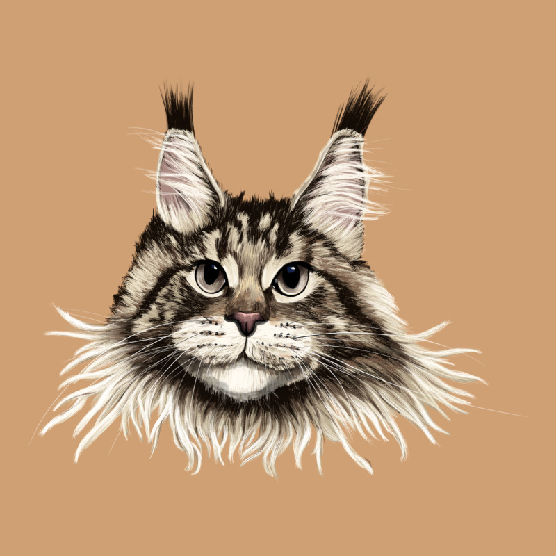 Maine Coon Cat Face Vintage Tee by LillyAllenDesigns | Teevron