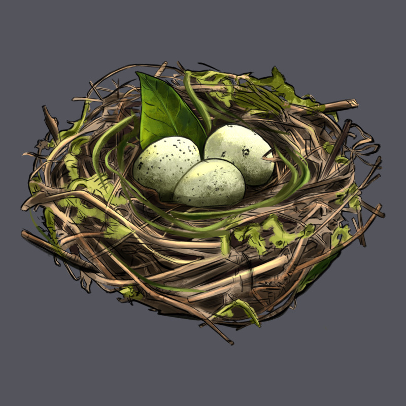 Bird Nest With Eggs Vintage Hoodie by LillyAllenDesigns | Teevron