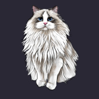 Ragdoll Cat Vintage Tee | Teevron