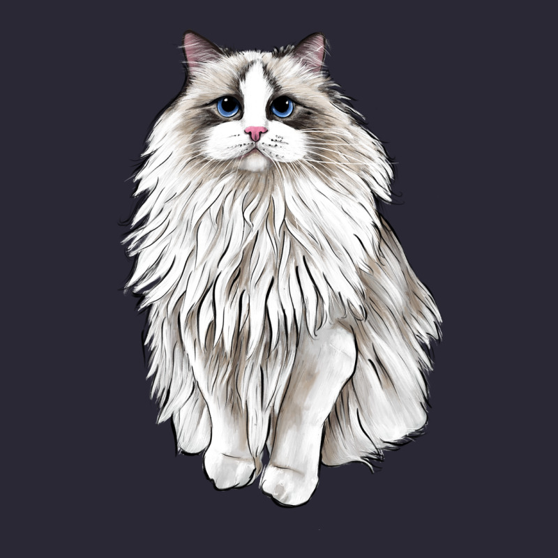 Ragdoll Cat Vintage Tee by LillyAllenDesigns | Teevron