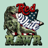 Red White Rawr 4th Of July Premium Hoodie | Teevron