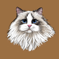 Ragdoll Face Cat Vintage Tee | Teevron