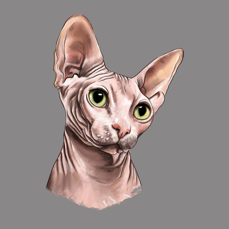 Sphynx Cat Vintage Tee by LillyAllenDesigns | Teevron