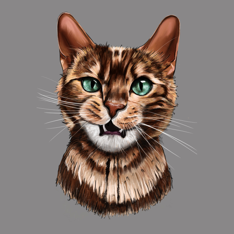 Bengal Cat Face Vintage Tee by LillyAllenDesigns | Teevron