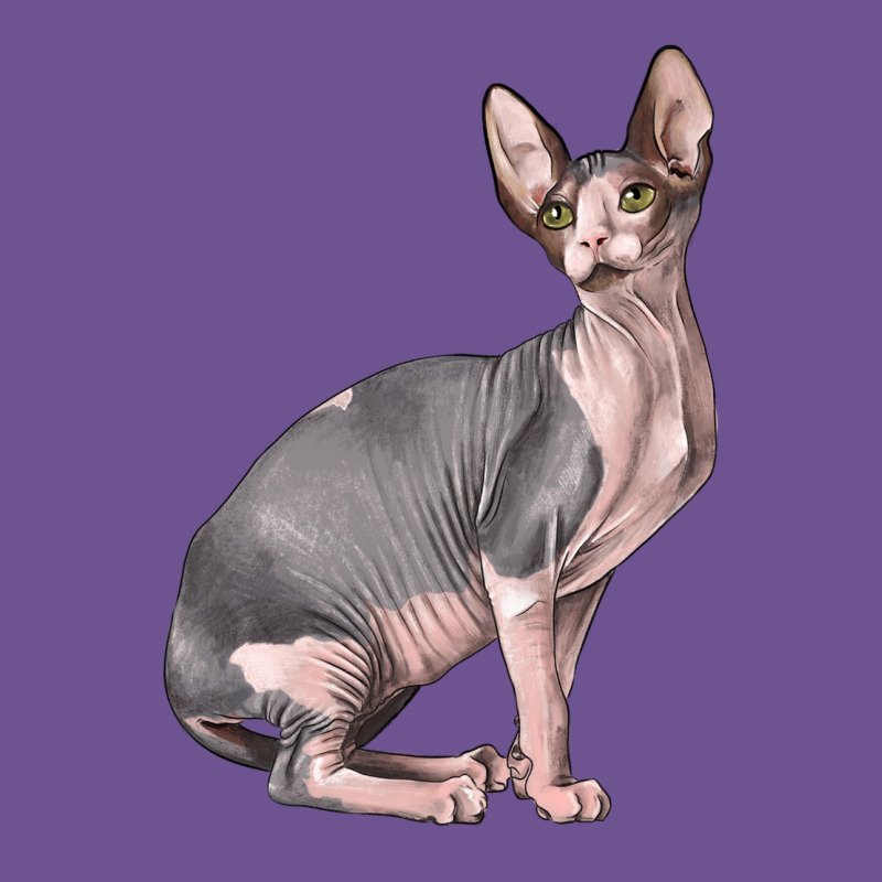 Sphynx Cat Vintage Tee by LillyAllenDesigns | Teevron