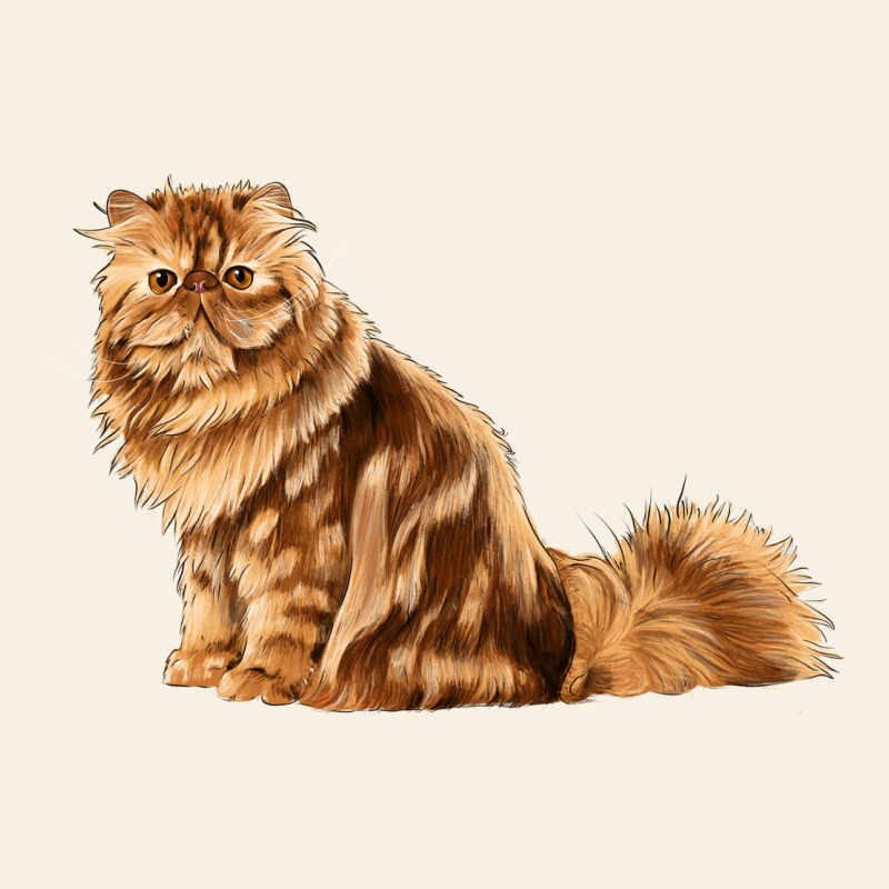 Persian Cat Vintage Tee by LillyAllenDesigns | Teevron