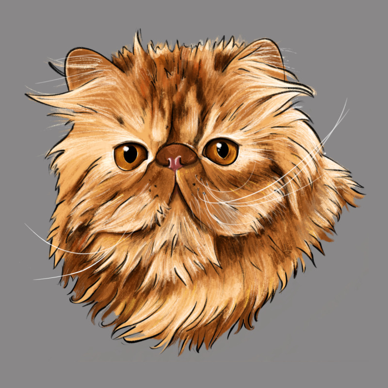 Persian Cat Face Vintage Tee by LillyAllenDesigns | Teevron
