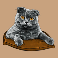 Scottish Fold Vintage Tee | Teevron