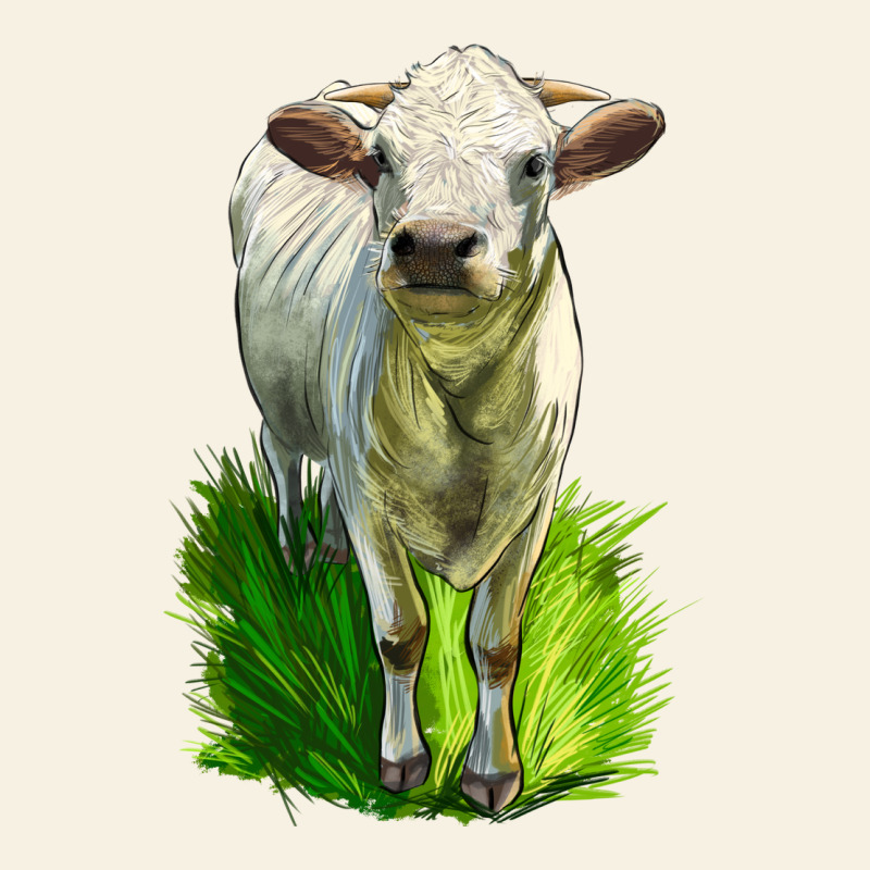 Charolais Heifer Vintage Tee by LillyAllenDesigns | Teevron