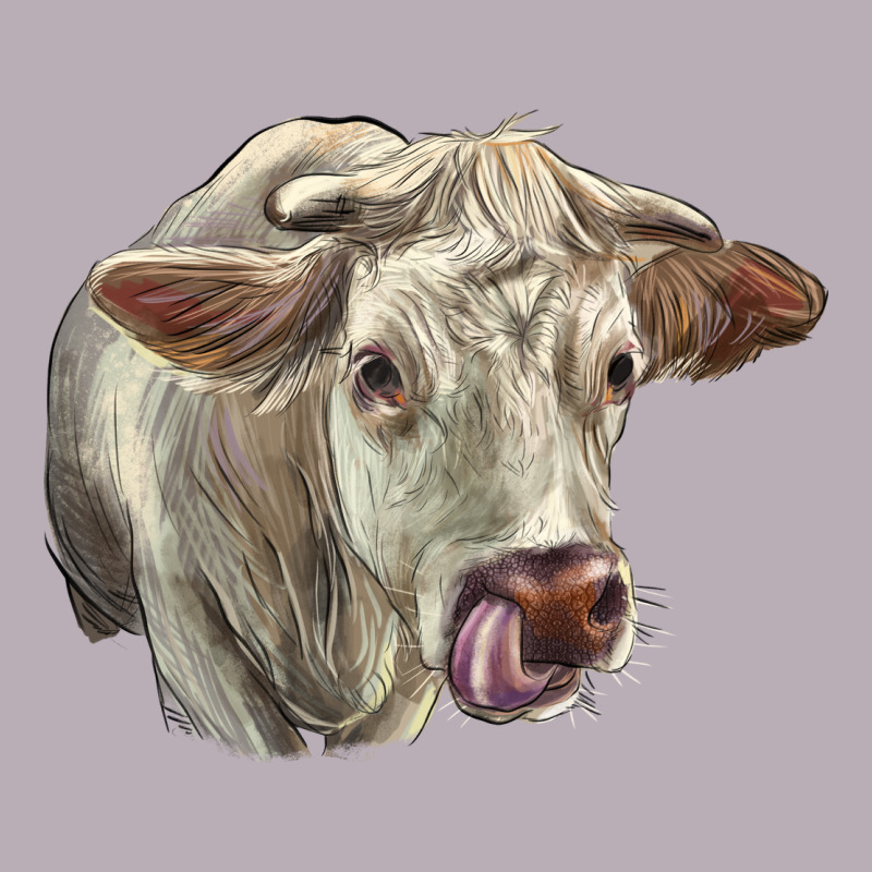 Charolais Cattle Face Vintage Tee by LillyAllenDesigns | Teevron