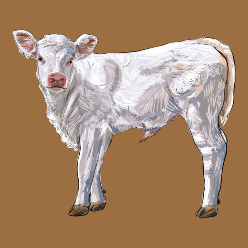 Charolais Calf Vintage Tee by LillyAllenDesigns | Teevron