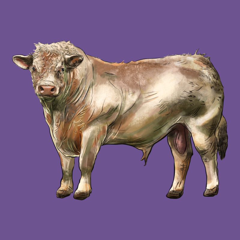 Charolais Bull Vintage Tee by LillyAllenDesigns | Teevron