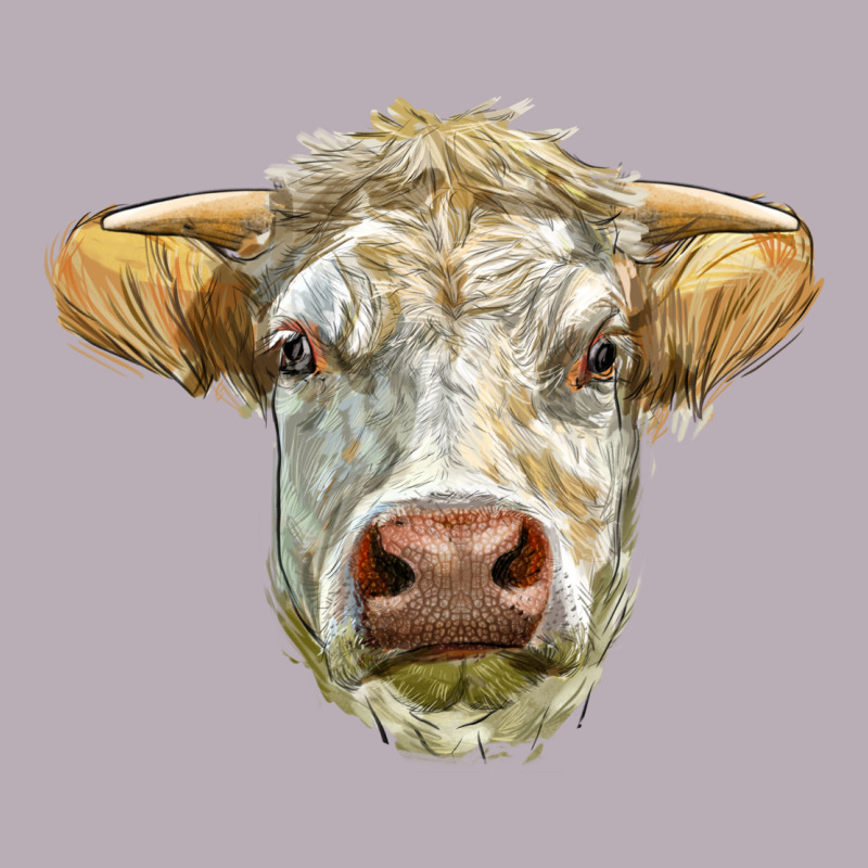 Charolais Bull Face Vintage Tee by LillyAllenDesigns | Teevron
