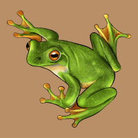 White Lipped Tree Frog Illustrations Vintage Hoodie | Teevron