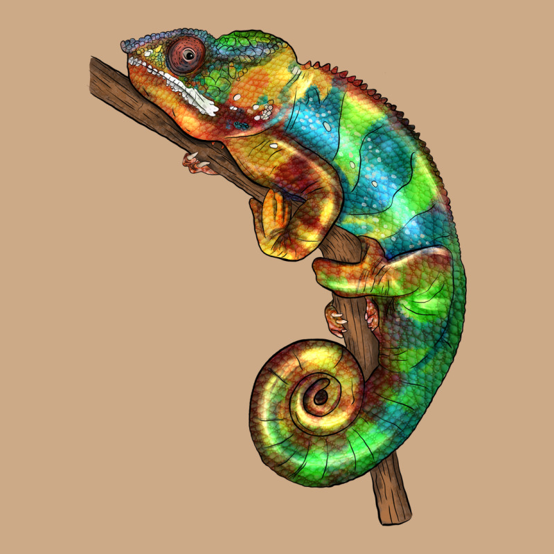 Chameleon Lizard Illustrations Vintage Hoodie by LillyAllenDesigns | Teevron
