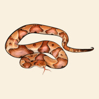 Copperhead Snake Illustrations Vintage Hoodie | Teevron