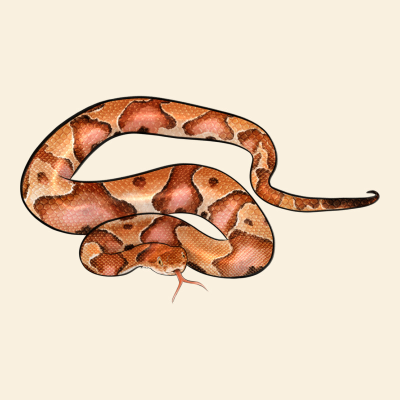 Copperhead Snake Illustrations Vintage Hoodie by LillyAllenDesigns | Teevron