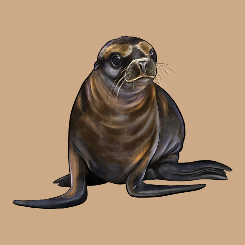 Sea Lion Illustrations Vintage Hoodie by LillyAllenDesigns | Teevron
