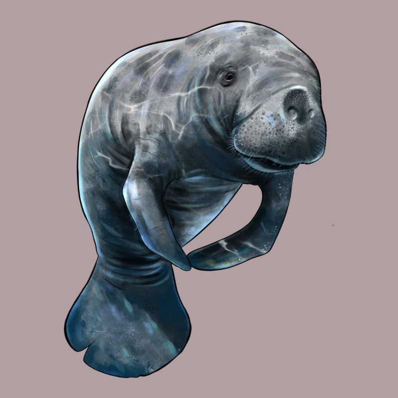 Manatee Illustrations Vintage Hoodie by LillyAllenDesigns | Teevron