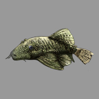 Bristlenose Placo Vintage Hoodie | Teevron