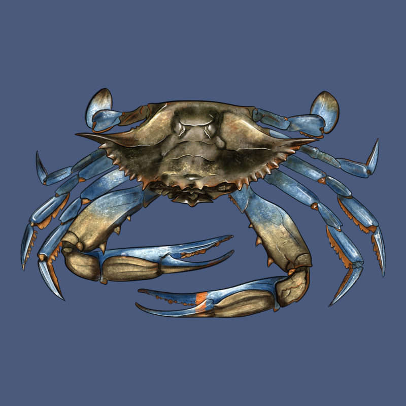 Crab Vintage Hoodie by LillyAllenDesigns | Teevron