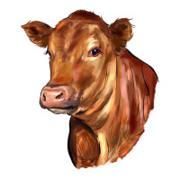 red angus cattle cow | Teevron
