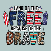 Land Of The Beacause Of The Brave Heavy Core Tee | Teevron